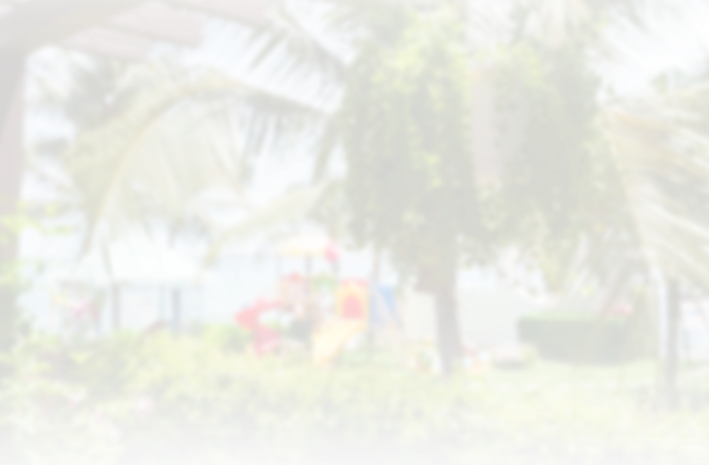 decor hình